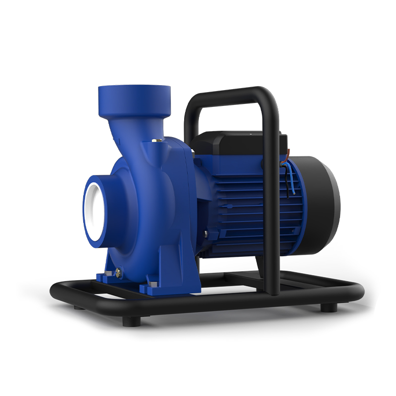 Pompa solare autoadescante di superficie con regolatore automatico della pompa CA/CC a commutazione solare (2000-3600 W) Pompa solare centrifuga di superficie